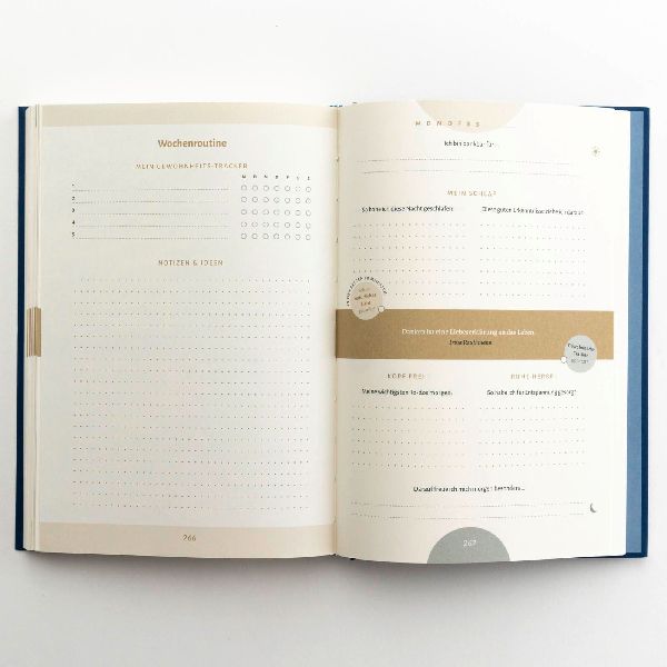 Das 6-Minuten-Schlaftagebuch