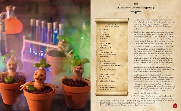 Das kleine Koch- und Backbuch für Potterheads - Das inoffizielle Harry Potter Koch- und Backbuch
