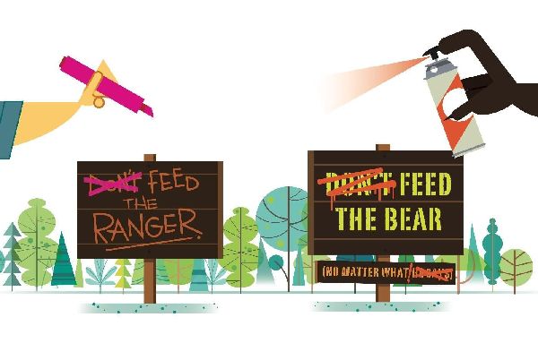Don't Feed the Bear