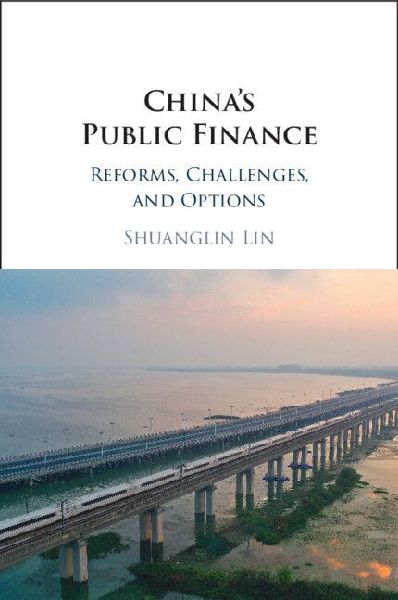 China's Public Finance