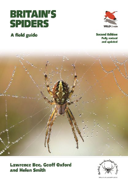 Britain`s Spiders - A Field Guide - Fully Revised and Updated ...