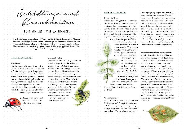 Mein Bienengarten - Das illustrierte Gartenbuch