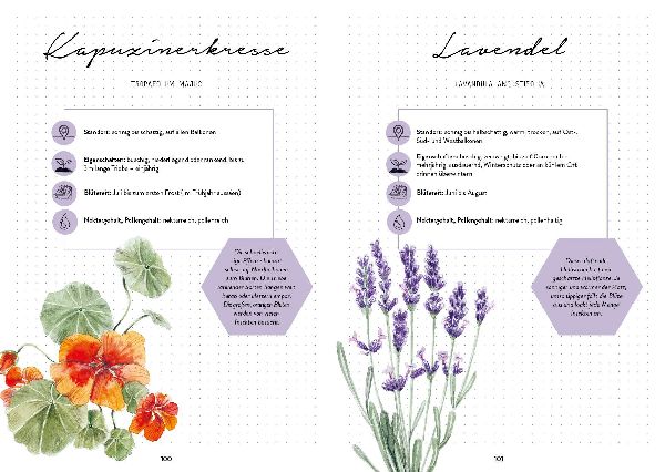 Mein Bienengarten - Das illustrierte Gartenbuch