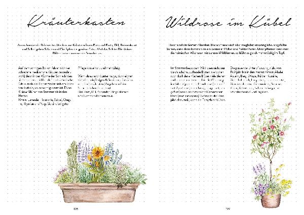 Mein Bienengarten - Das illustrierte Gartenbuch