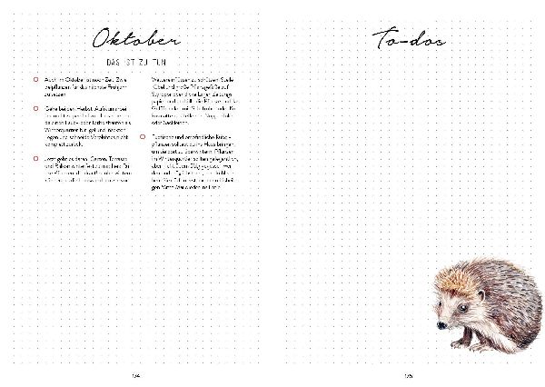 Mein Bienengarten - Das illustrierte Gartenbuch