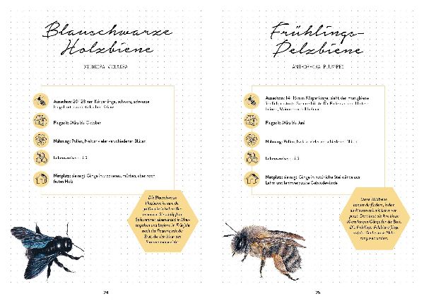Mein Bienengarten - Das illustrierte Gartenbuch