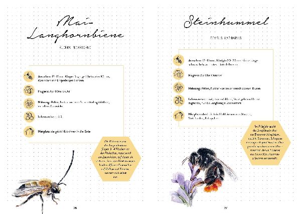 Mein Bienengarten - Das illustrierte Gartenbuch