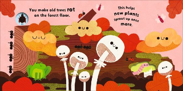 Fungi Friends