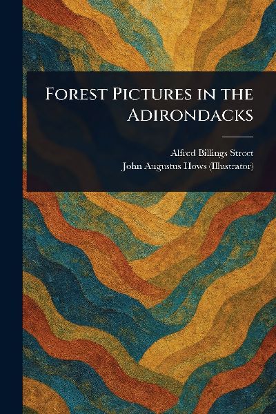 Forest Pictures in the Adirondacks