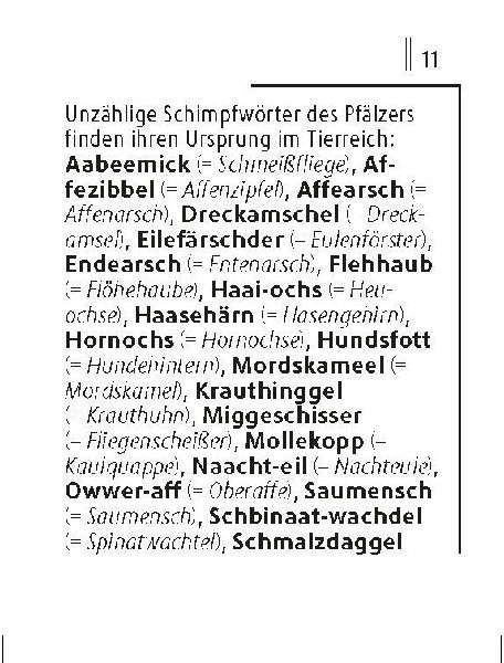 Langenscheidt Lilliput Pfälzisch