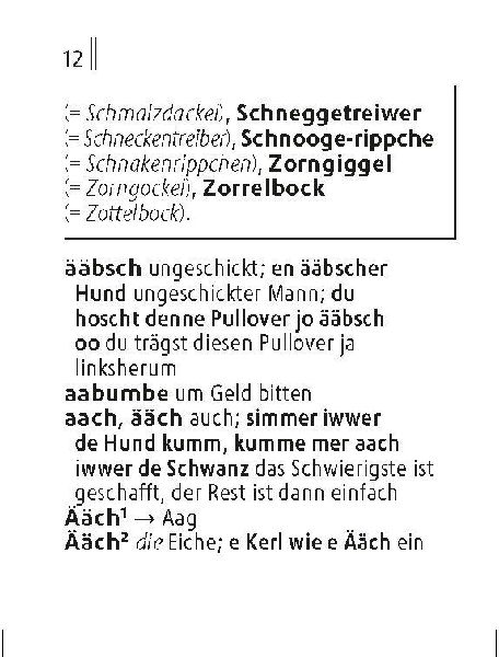 Langenscheidt Lilliput Pfälzisch