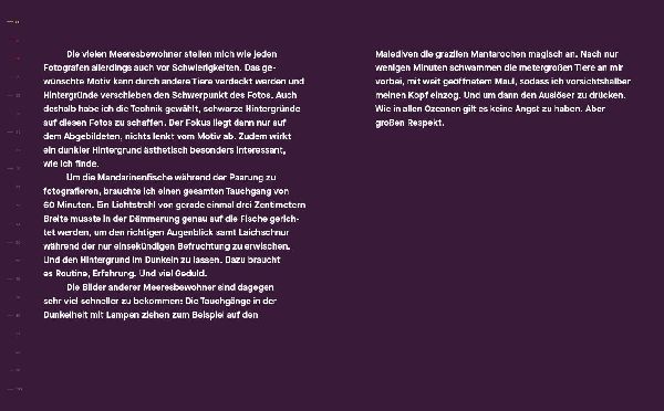 Geheimnisvolle Schönheiten