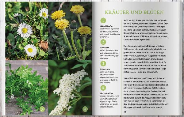 Ernte an Wegen, Wiesen und Wäldern