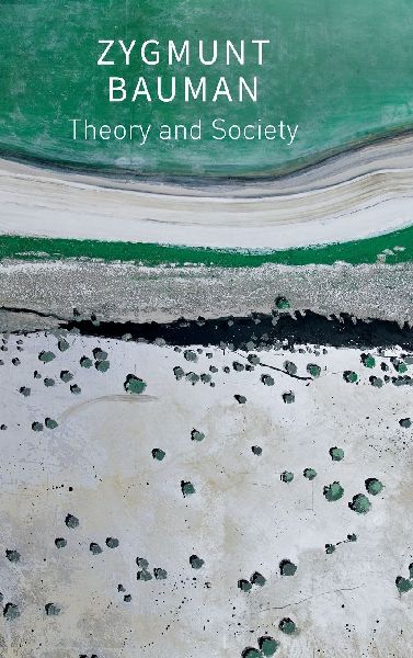 Theory and Society