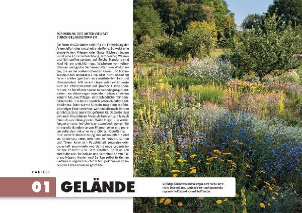So geht Naturgarten