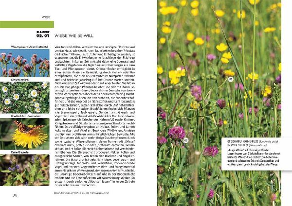 So geht Naturgarten