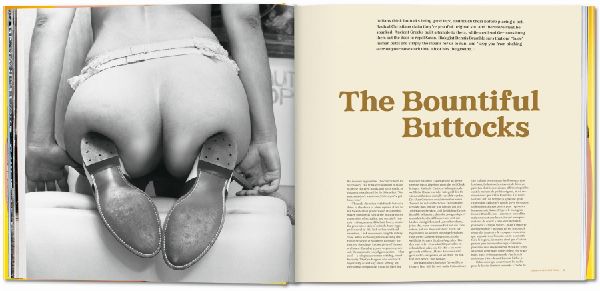 The Big Butt Book