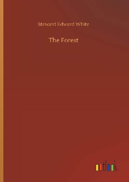 The Heartstone Thief