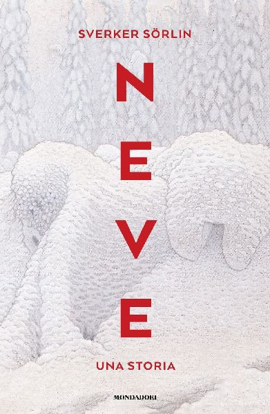 Neve. Una storia