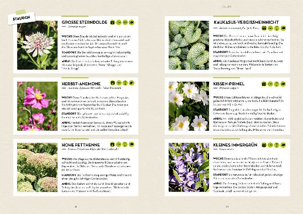Garten - einfach günstig