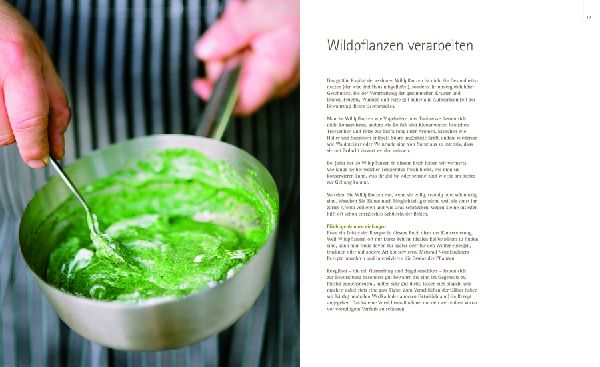 So schmecken Wildpflanzen