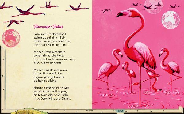 MediTiere um die Welt