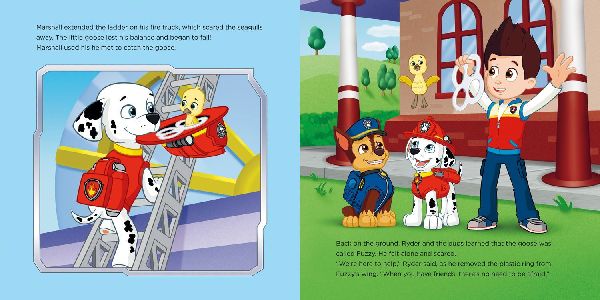 PAW PATROL PICTURE BK YOU PB