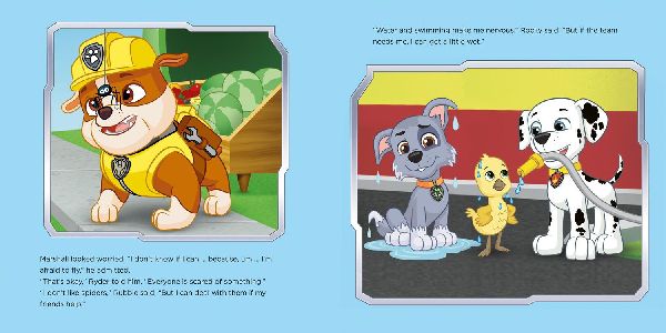 PAW PATROL PICTURE BK YOU PB