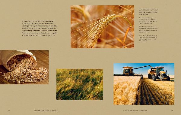 The Story of Whisky