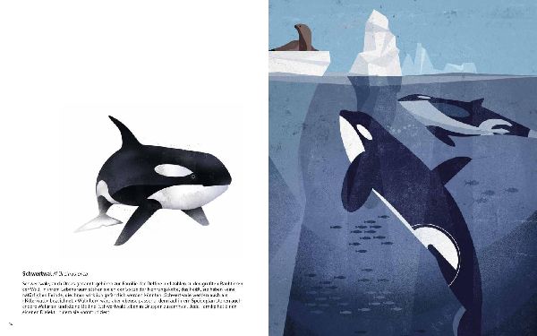 Die Welt der wilden Tiere