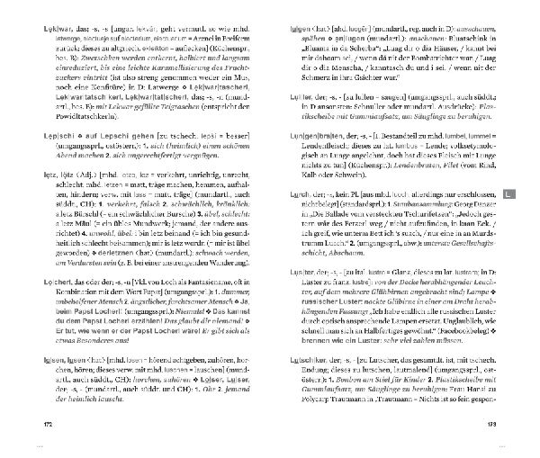 Wörterbuch der Alltagssprache Österreichs