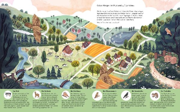 Kleine Geheimnisse der Natur - Wald und Wiese