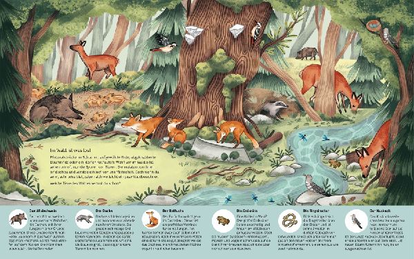 Kleine Geheimnisse der Natur - Wald und Wiese
