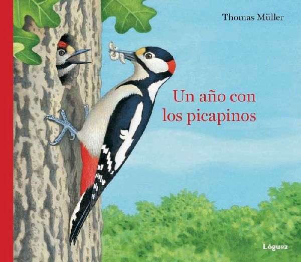 Un año con los picapinos