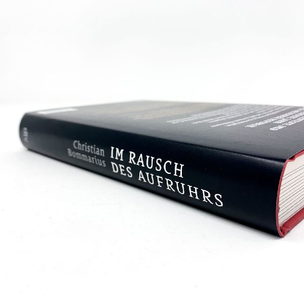Im Rausch des Aufruhrs