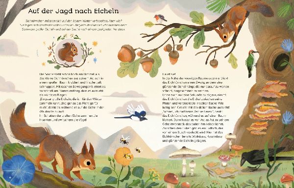 Kleine Geschichten aus der Natur