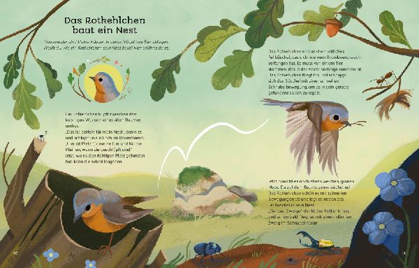 Kleine Geschichten aus der Natur
