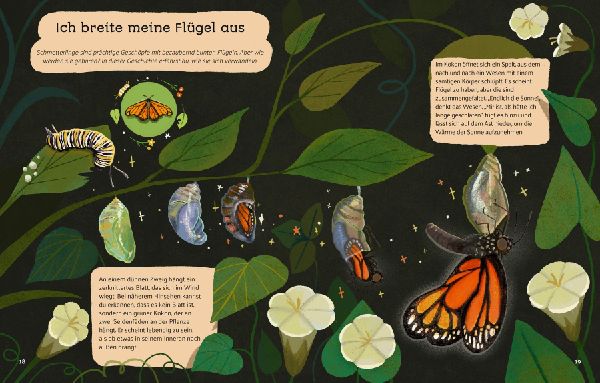 Kleine Geschichten aus der Natur