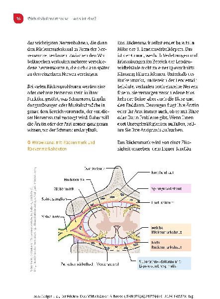 Der Rücken-Doc: Wirbelsäulen-Arthrose