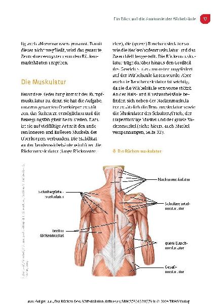 Der Rücken-Doc: Wirbelsäulen-Arthrose