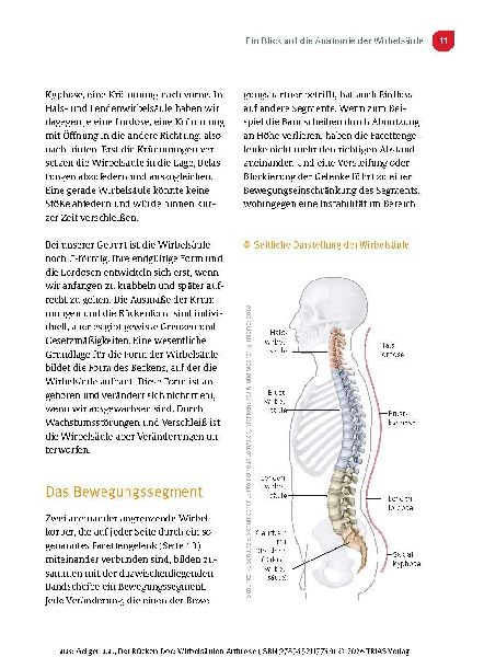 Der Rücken-Doc: Wirbelsäulen-Arthrose