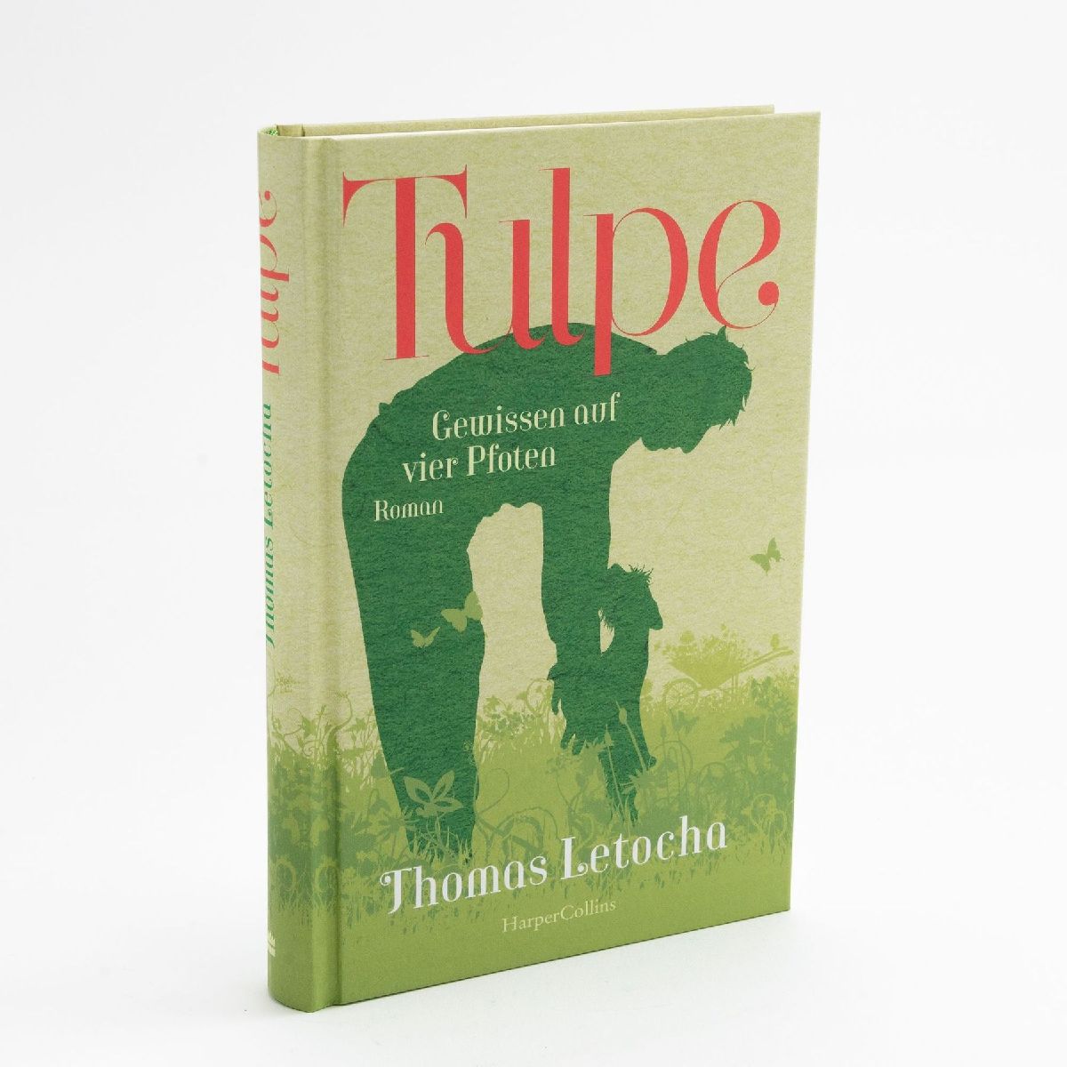 Tulpe
