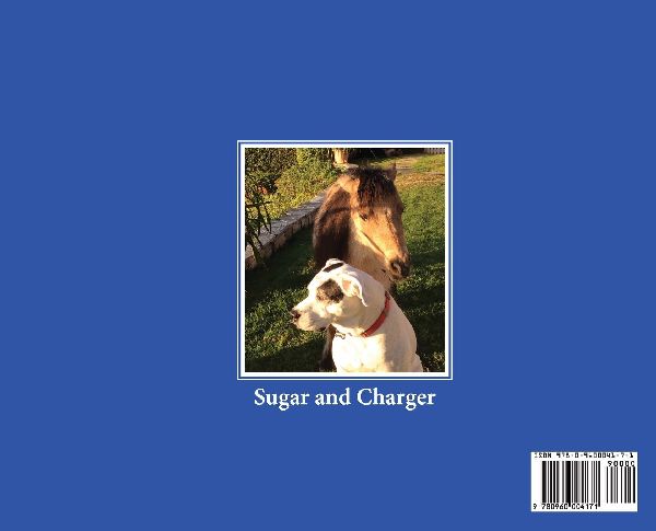 Sugar's Journey Home- Second Edition