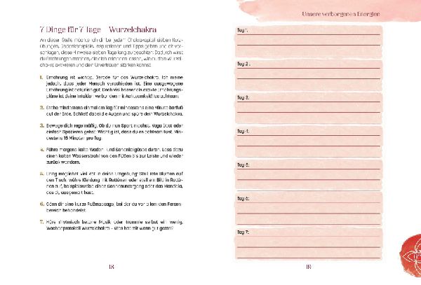 Das Chakra Workbook