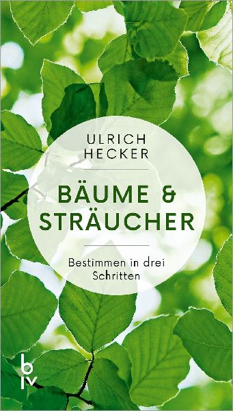 Bäume und Sträucher