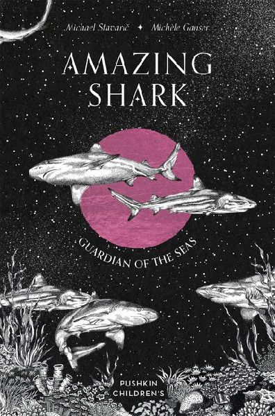Amazing Shark