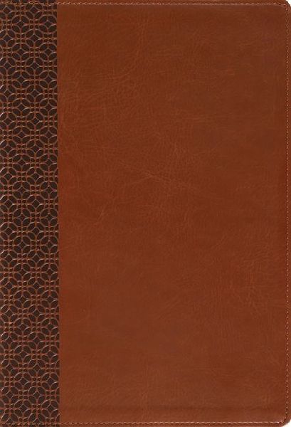 Amplified Holy Bible, Large Print, Leathersoft, Brown