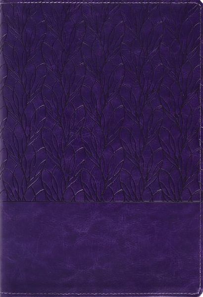 Amplified Holy Bible, Large Print, Leathersoft, Purple