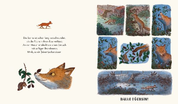 Wunder der Natur. Das Gute-Nacht-Buch