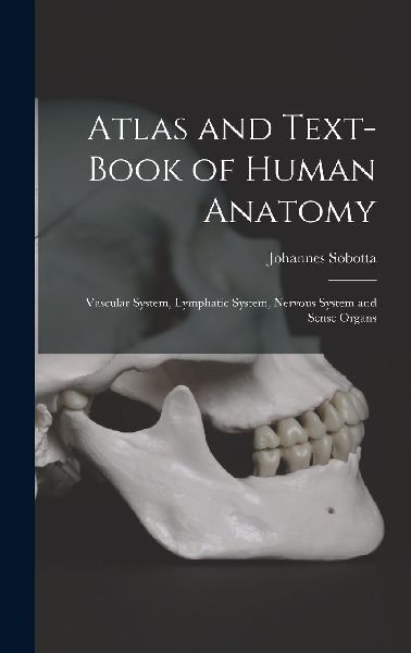 Atlas and Text-Book of Human Anatomy: Vascular System, Lymphat...
